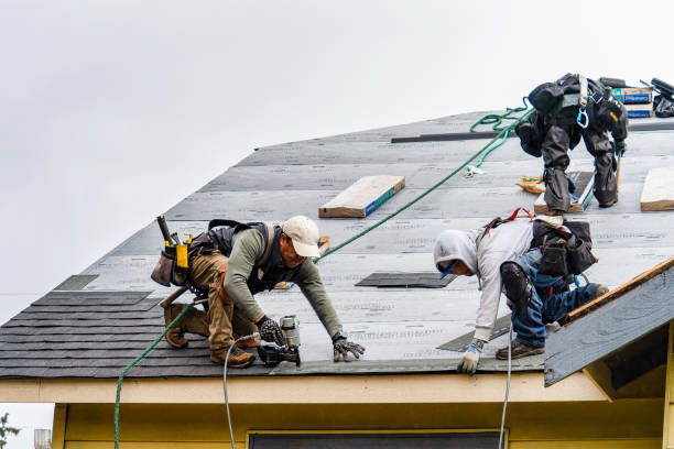 Professional Roof Inspection technician working in Pine Hill, NY